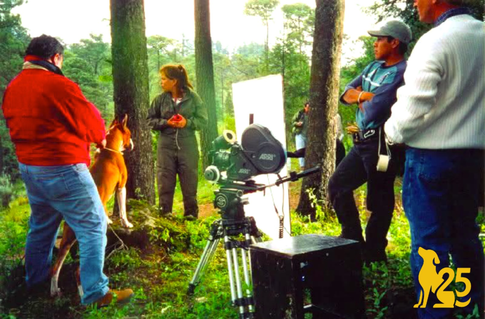 Rodaje de comercial con perro, cámara de cine en el bosque